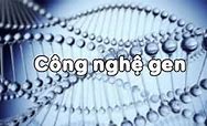 Công Nghệ Sinh Học Là Gì Sinh 9