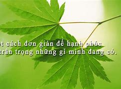 Hạnh Phúc Là Em