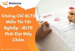 Mấy Chấm Ielts Thì Miễn Thi Tốt Nghiệp